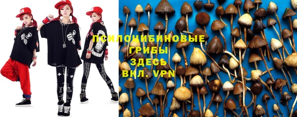 прущая мука Нея