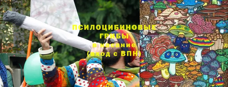 как найти   Заринск  Псилоцибиновые грибы MAGIC MUSHROOMS 