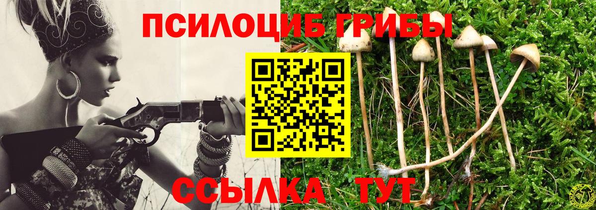 Галлюциногенные грибы MAGIC MUSHROOMS Заринск