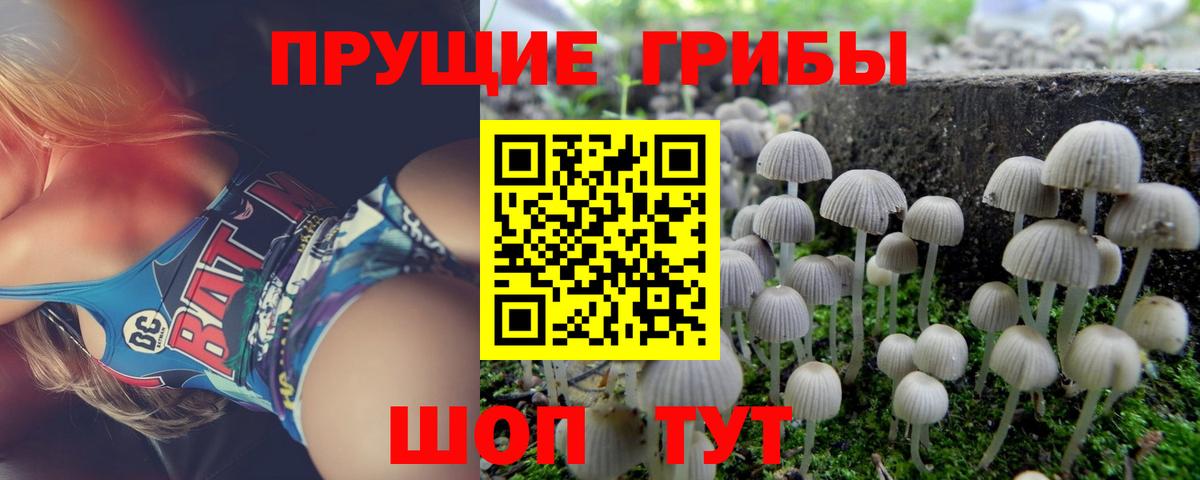 Галлюциногенные грибы Cubensis Заринск